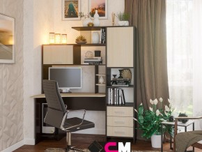 Компьютерный стол №6 в Верхотурье - verhoture.magazinmebel.ru | фото