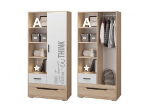 Шкаф для одежды с 2 ящиками Джуниор в Верхотурье - verhoture.magazinmebel.ru | фото